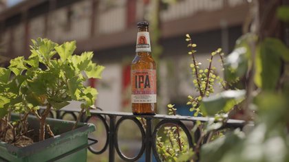 Dos Medallas De Plata Reconocen El Sabor Y Diseno De Cruzcampo Andalusian Ipa Entre Mas De 2 0 Cervezas De 50 Paises