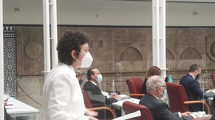 María Marín Martínez, portavoz del Grupo Parlamentario Mixto, durante su intervención