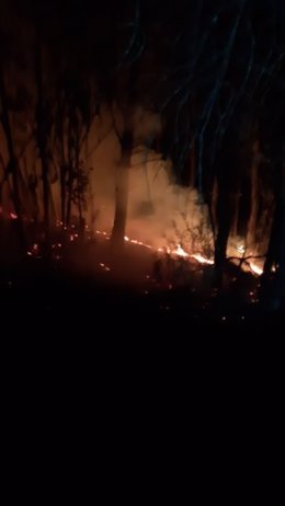 Incendio forestal en Beas (Huelva)