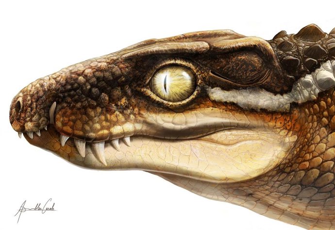 Recreación artística del aspecto que podría haber tenido el 'Ogresuchus furatus'.
