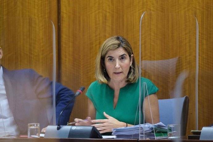 La consejera de Empleo, Rocío Blanco, en una foto de archivo en comisión parlamentaria.