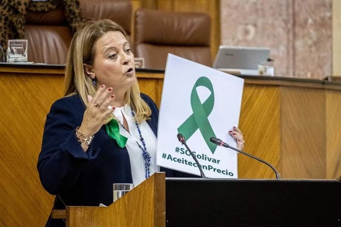 La parlamentaria andaluza del PP de Jaén Ángela Hidalgo en una imagen de archivo.