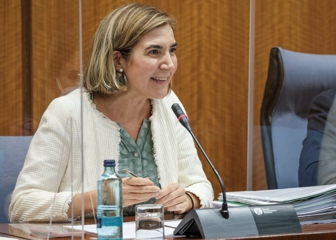 La consejera de Empleo, Rocío Blanco, este jueves durante su comparecencia parlamentaria.