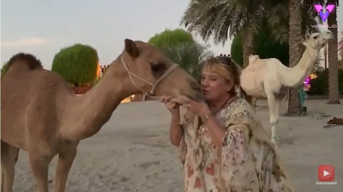 Esta mujer lo deja todo para irse a vivir al desierto de Dubái con 40 camellos