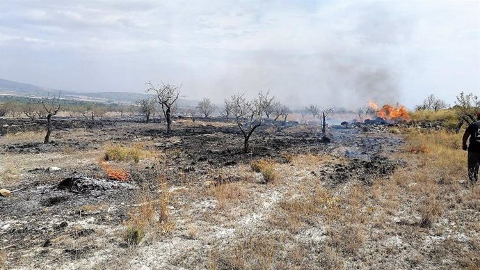 Estado en que ha quedado la zona afectada por un incendio declarado en Las Pedroñetas (Moratalla)