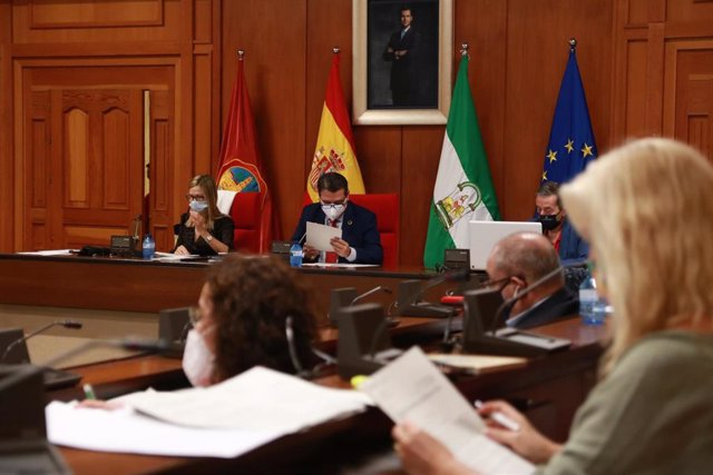 Celebración del Pleno del Ayuntamiento de Córdoba en plena pandemia.