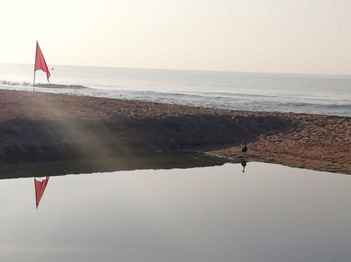 Imatge de la bandera vermella a la platja de la Pineda de Castelldefels. (Horitzontal)