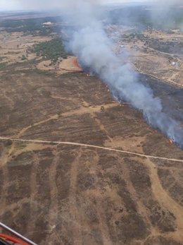 Imagen del incendio en el paraje Casa del Pinar de Villablanca (Huelva).