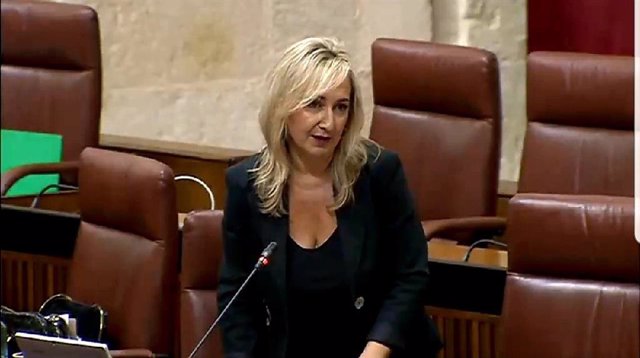 Ana Llopis, diputada de Cs por Sevilla, en el Parlamento andaluz