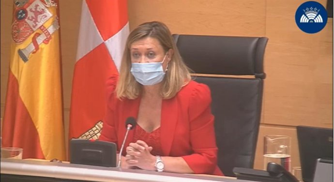 La exconsejera Pilar del Olmo, en su comparecencia en la Comisión de Investigación.