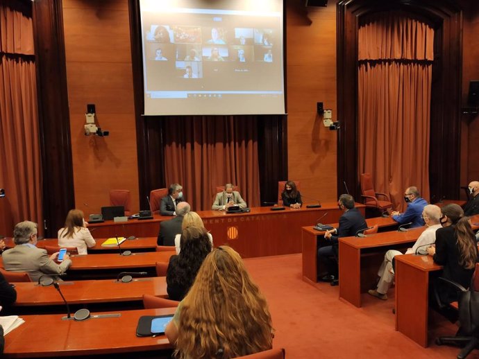 El president de la Generalitat, Quim Torra, amb els diputats de JxCat al Parlament, que li han mostrat el seu suport després de la vista al TS.