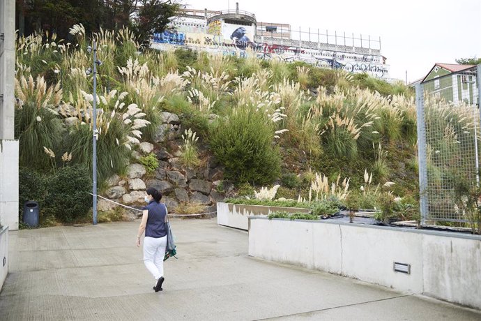 Los restos hallados en Santander podrían ser de una joven desaparecida en Ciudad