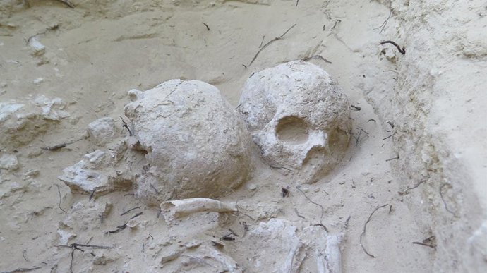 Trabajos del MARQ en el yacimiento de Cabezo del Molino