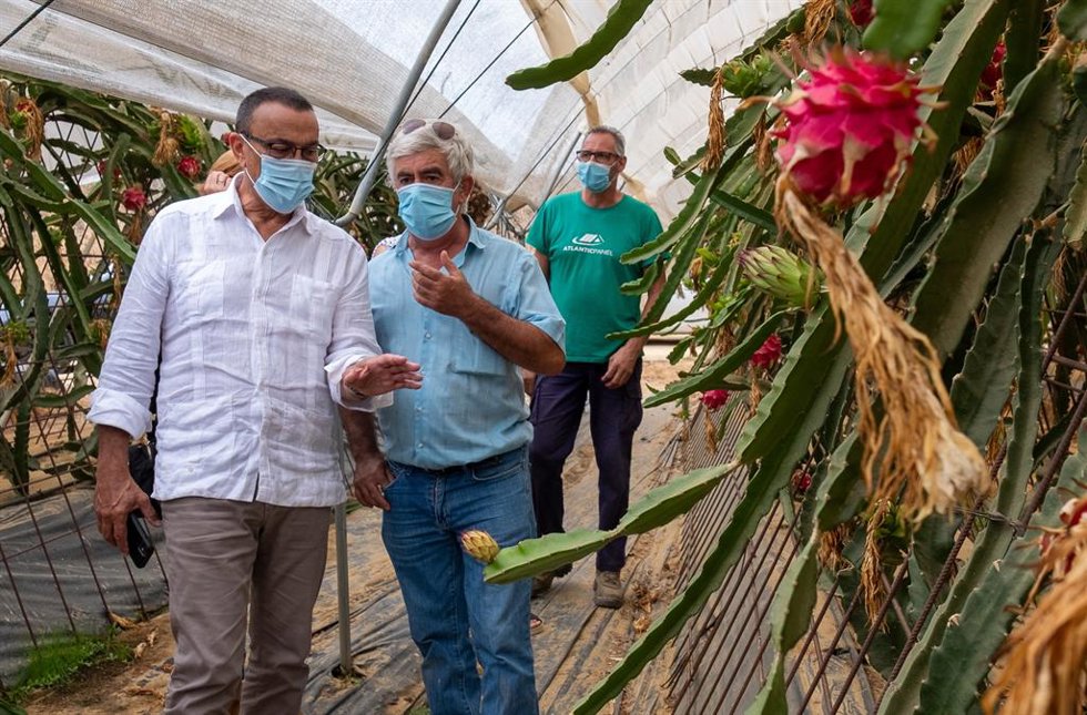 Huelva.- Diputación muestra "su apoyo" a la cooperativa Pitaya de Andalucía, imp