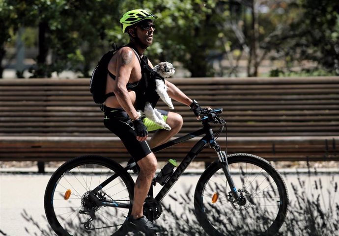 Un hombre pase en bicicleta con su perro en el Parque Madrid Río, a 29 de julio de 2020. Una ola de calor llegará mañana a la Península y Baleares, dejando temperaturas de 40C en amplias zonas hasta por lo menos el sábado, según el aviso especial que e