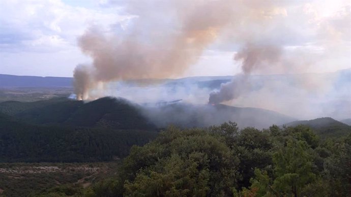 Incendio en un pinar en el valle de Lónguida