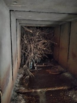 Trabajos para desatascar el canal del arroyo Santa María de Nerva (Huelva)