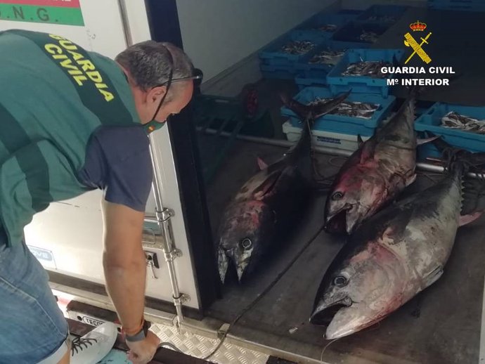 Alicante.- Sucesos.- Intervienen en Altea y Villajoyosa más de 300 kilos de pesc