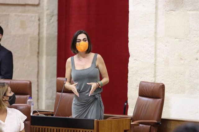 La parlamentaria andaluza de Ciudadanos (Cs) Teresa Pardo, en una foto de archivo.