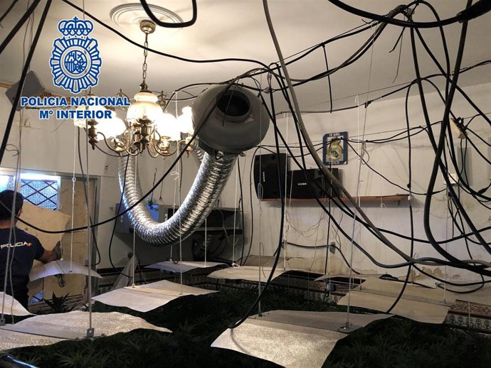 Nota De Prensa Y Fotografías: "La Policia Nacional Interviene 2.529 Plantas De Marihuana, Y Detiene A 5 Personas"