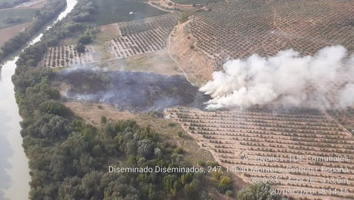 Incendio forestal en Montoro