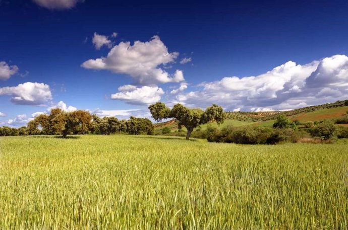 Nubes sobre un campo en Extremadura.