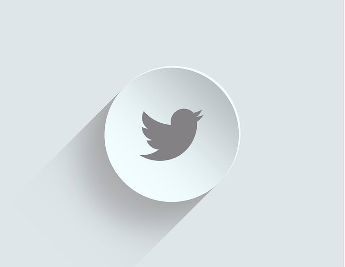 Logo twitter fondo blanco