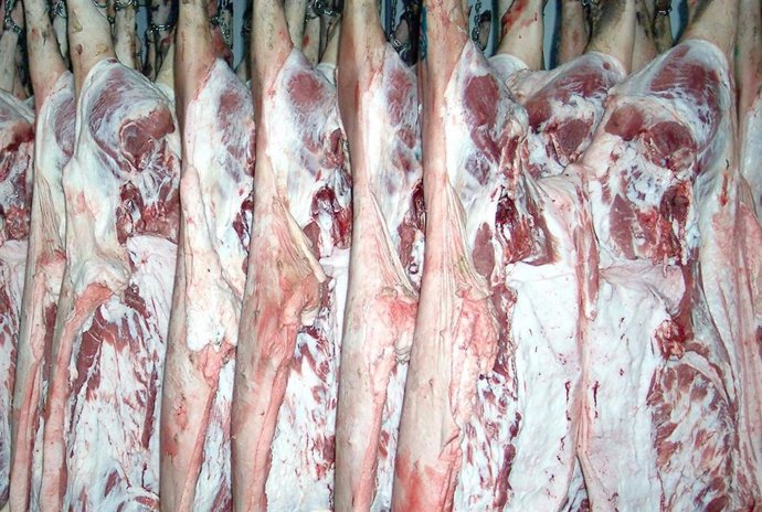 Carne, exportaciones