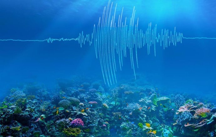 Monitorear la temperatura de los océanos con los terremotos submarinos