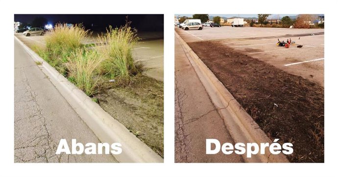 Imagen de la limpieza en el Polígono de Son Castelló.