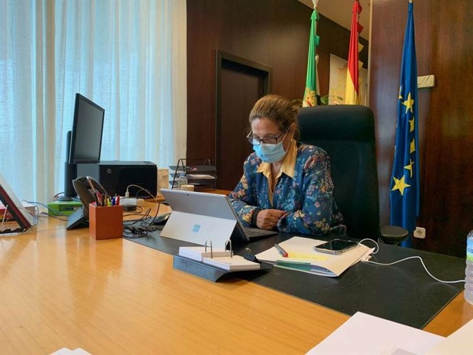 La vicepresidenta primera y consejera de Hacienda y Administración Pública, Pilar Blanco-Morales, en la Conferencia Sectorial de Función Pública a través de videoconferencia