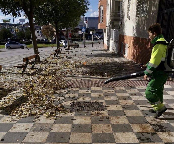 Un operario municipal realiza tareas de limpieza de hojas caídas de los árboles en pleno otoño