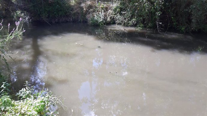Agua turbia en el río Cega.