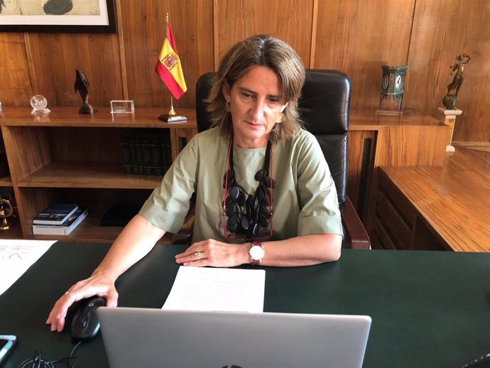 La vicepresidenta cuarta y ministra para la Transición Ecológica y Reto Demográfico, Teresa Ribera, preside una reunnión de la OCDE sobre recuperación económica verde.