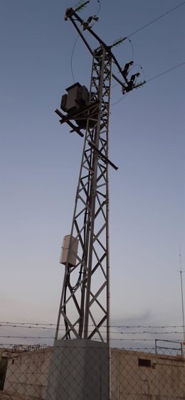 Muerte de varias aves en Torre de Juan Abad