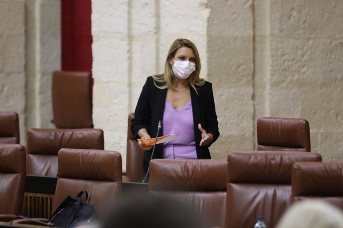 La diputada de Ciudadanos Concha Insúa