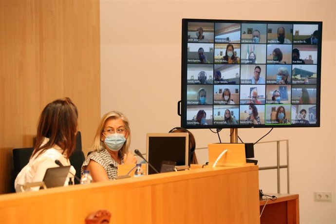 Pleno de la Diputación de Málaga correspondiente a septiembre de 2020