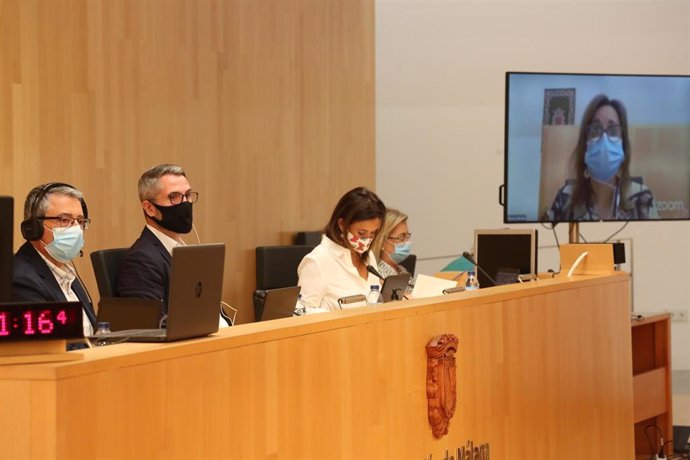 Pleno de la Diputación de Málaga correspondiente al mes de septiembre de 2020