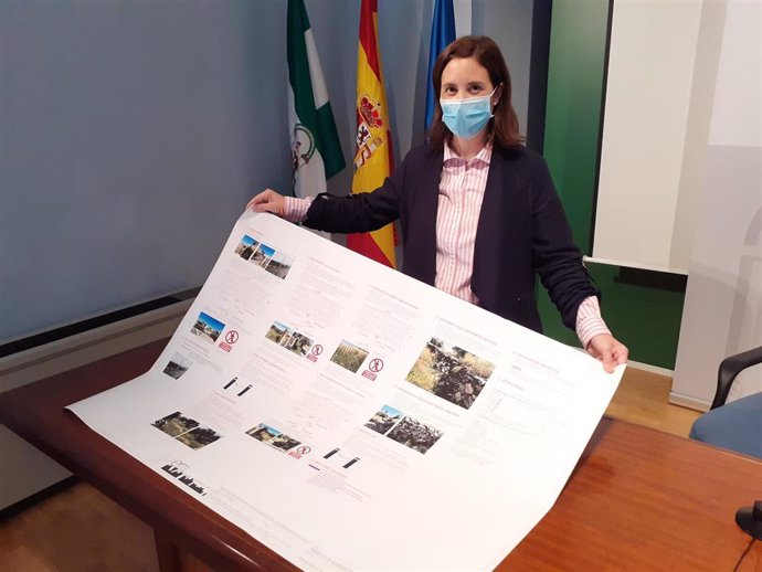La delegada de Cultura y Patrimonio Histórico, Cristina Casanueva, presenta las obras para mejorar la seguridad en el recinto amurallado del castillo de Belalcázar