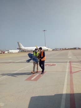 Dron con forma de halcón para controlar la fauna en el aeropuerto