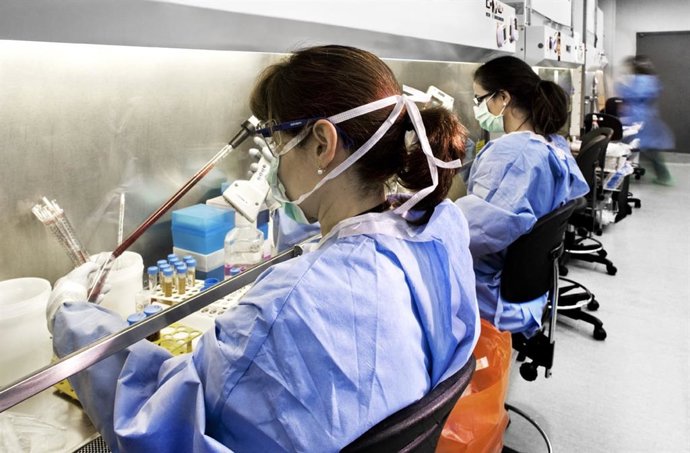 Investigadores En Laboratorio. Ciencia, Análisis, Investigación