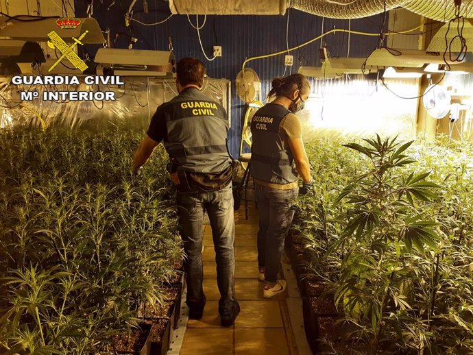 Una treintena de detenidos por tráfico internacional de marihuana en Catalunya