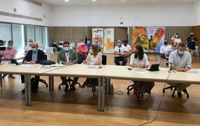 Andalucía producirá más de 2,3 millones de toneladas de cítricos en la campaña 2