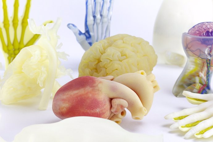 AIJU presenta su servicio de réplicas de órganos y patologías de precisión ultra realista con impresión 3D