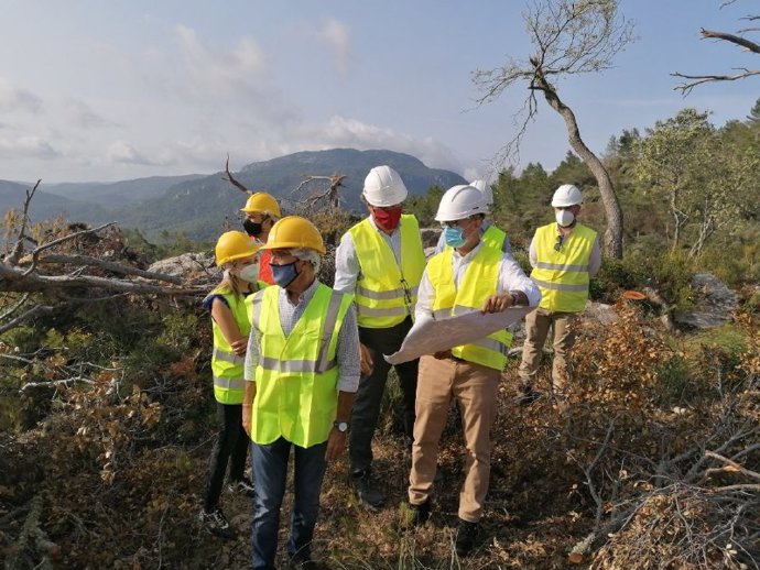 Yllanes, Urresti y Ribas, durante la visita a la zona afectada por el 'cap de fibló'.