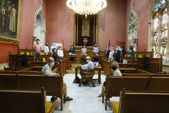 La sala de plenos del Consell de Mallorca durante la constitución del Observatorio del Paisaje.