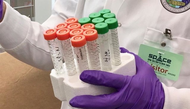 Muestras de nemátodos se preparan para el viaje al espacio en el Laboratorio de Ciencias de la Vida Espacial