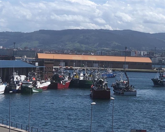 Entrada de barcos pesqueros de bocarte en El Musel