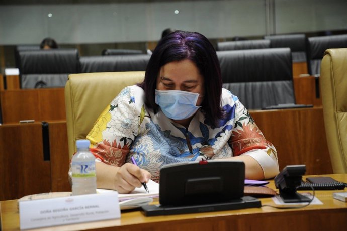 La consejera de Agricultura, Desarrollo Rural, Población y Territorio, Begoña García Bernal, en la Asamblea para informar sobre el Plan de Restauración Forestal de la Zona Afectada por el Incendio de La Vera y Jerte