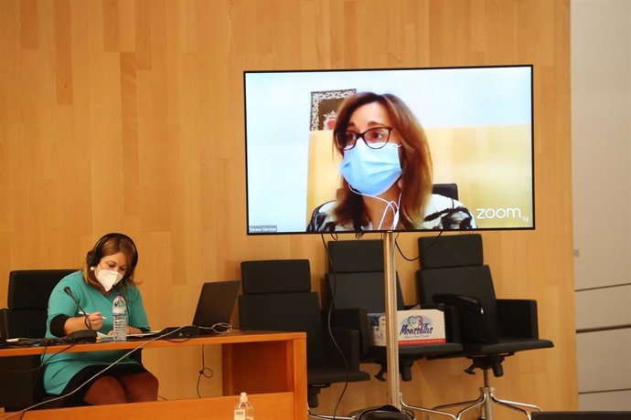 La diputada portavoz de Adelante Málaga, Teresa Sánchez, en el último pleno de la Diputación de Málaga de septiembre de 2020